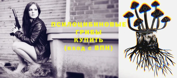 твердый Алзамай