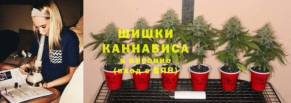 твердый Алзамай