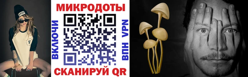 Псилоцибиновые грибы GOLDEN TEACHER  магазин    Талица 